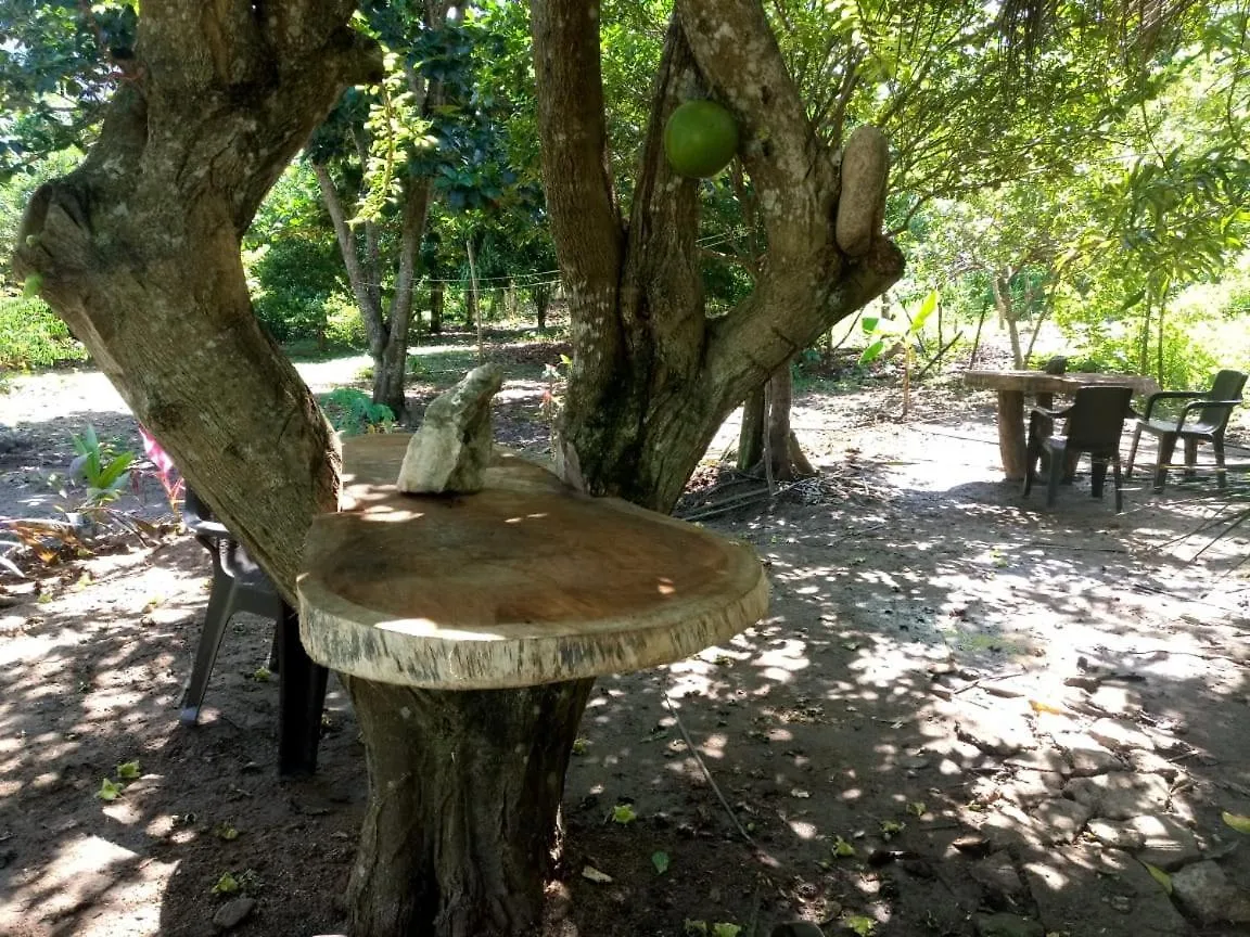 Pensión Ulucaho Tayrona Hostal Santa Marta  Colombia