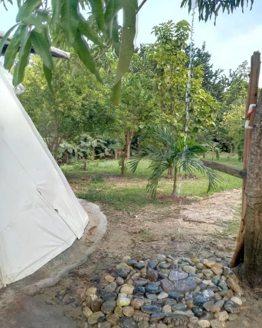 Ulucaho Tayrona Hostal Santa Marta  Colombie