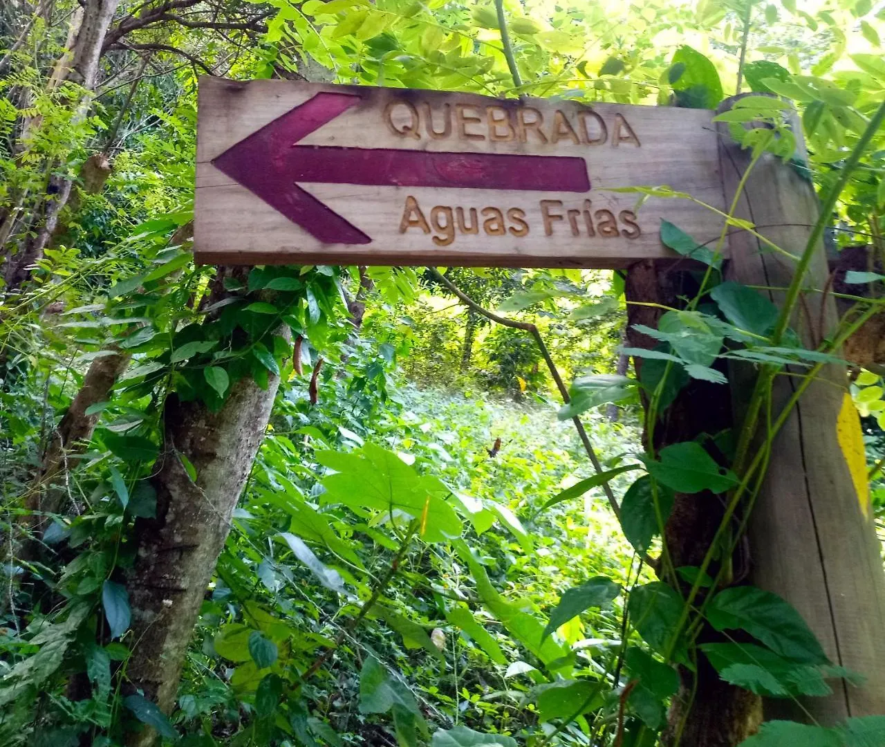 Ulucaho Tayrona Hostal Santa Marta  Konukevi