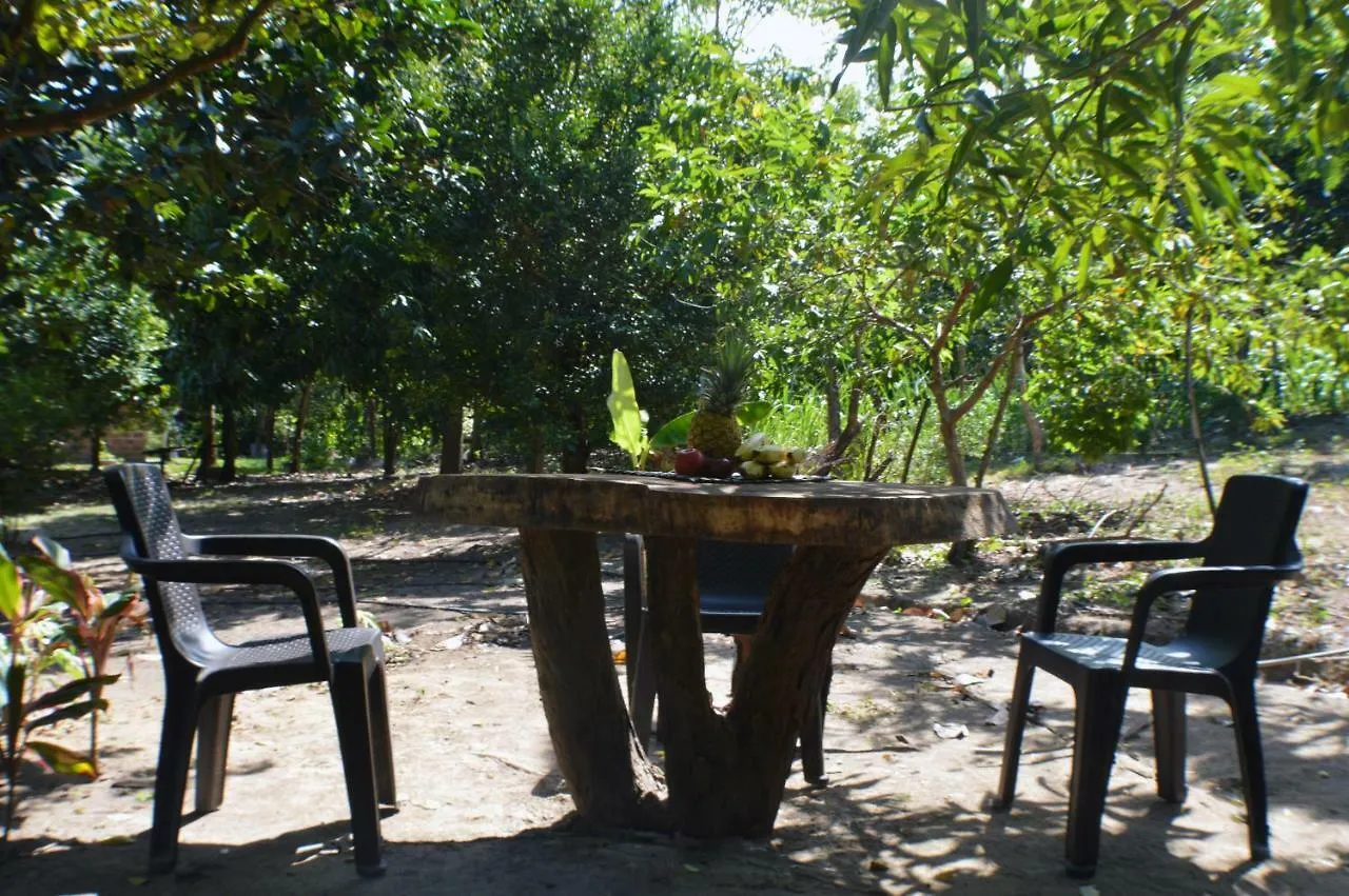 Ulucaho Tayrona Hostal 圣玛尔塔